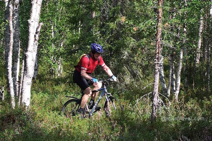 Mountain bike tour in Russian Lapland Kola Peninsula