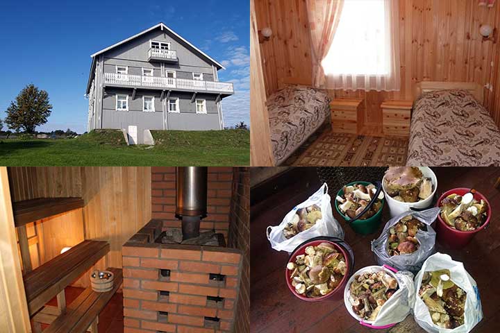 kizhi, kizhi island, open air musuem, excursions, petrozavodsk, karelia, northwest russia