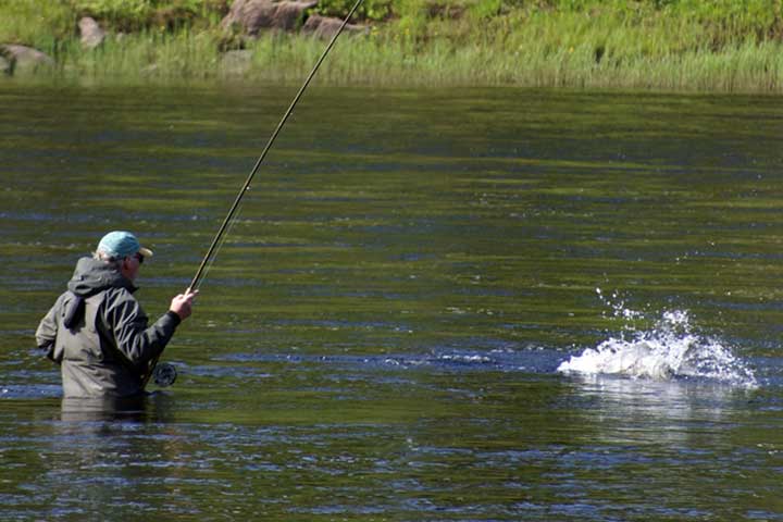 kola peninsula fly-fishing atlantic salmon angling fishing umba varzuga river